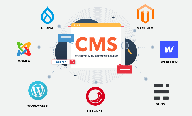 Understanding Content Management Systems (CMS)
